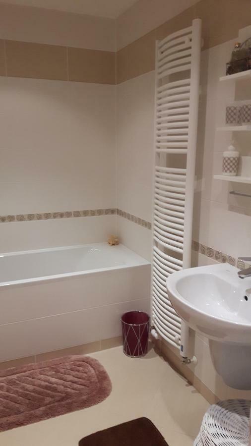 Prostorny 3 Pokojovy Apartman S Dvema Terasami Прага Екстериор снимка